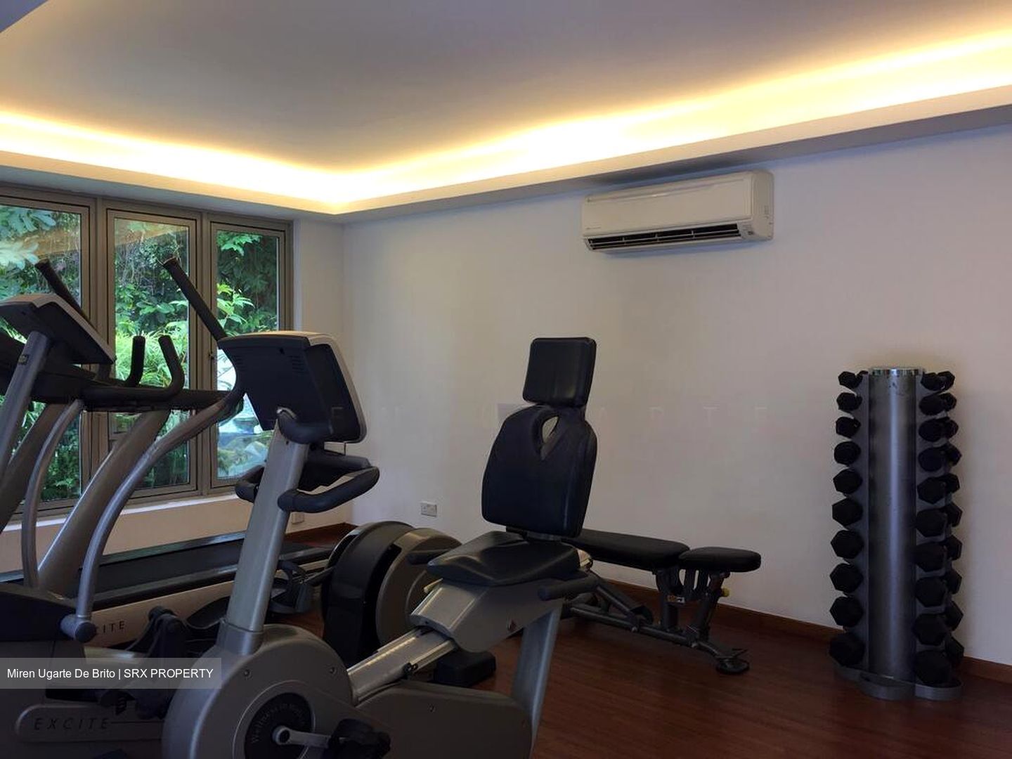 Nassim Regency (D10), Condominium #512853521